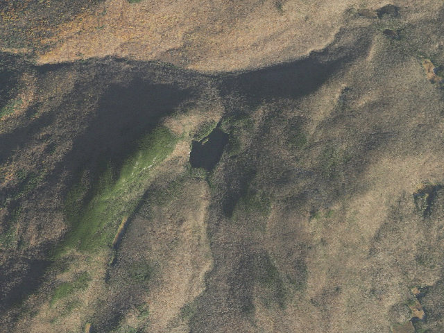 Aerial image of Little Rock Pond Shelter & Tent Area