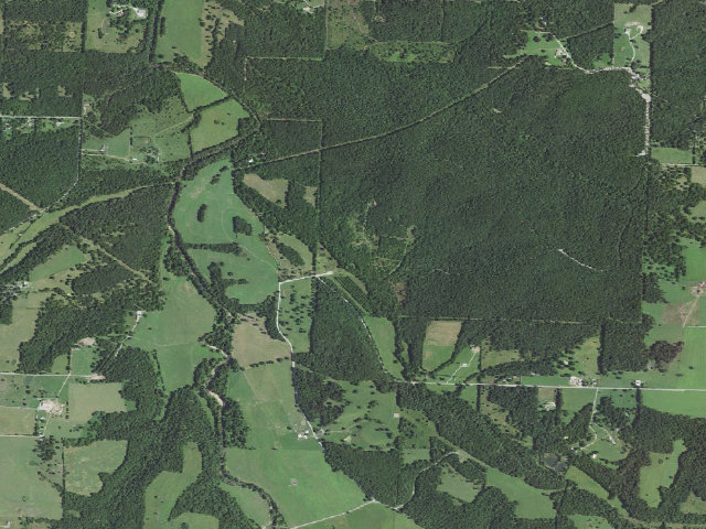 Aerial image of Little Sac Woods Conservation Area