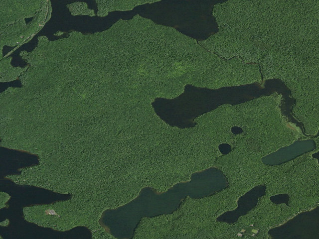 Aerial image of Little Square Pond Site 1 (Saranac Lakes Wild Forest)
