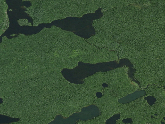 Aerial image of Little Square Pond Site 2 (Saranac Lakes Wild Forest)