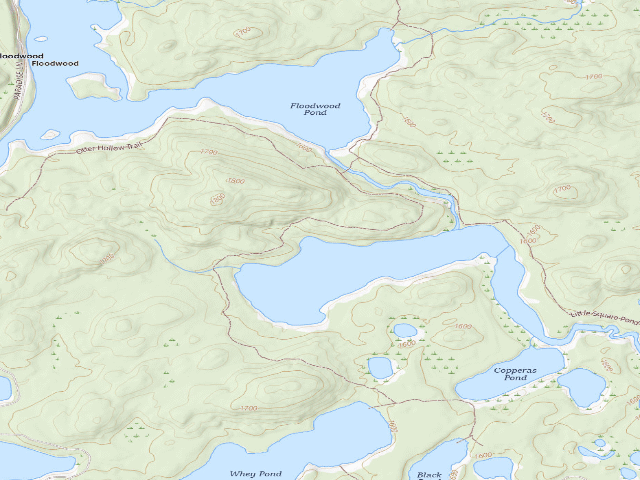 USGS topographic map of Little Square Pond Site 2 (Saranac Lakes Wild Forest)