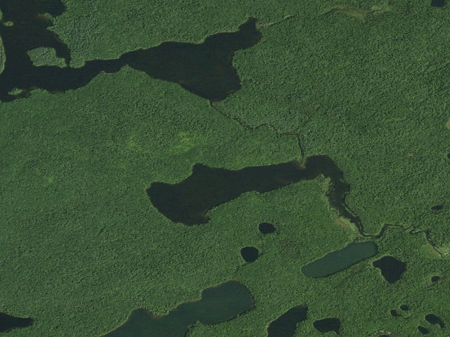 Aerial image of Little Square Pond Site 3 (Saranac Lakes Wild Forest)