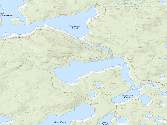 USGS topographic map of Little Square Pond Site 3 (Saranac Lakes Wild Forest)