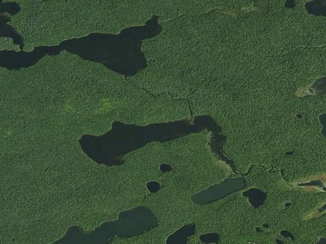 Aerial image of Little Square Pond Site 4 (Saranac Lakes Wild Forest)