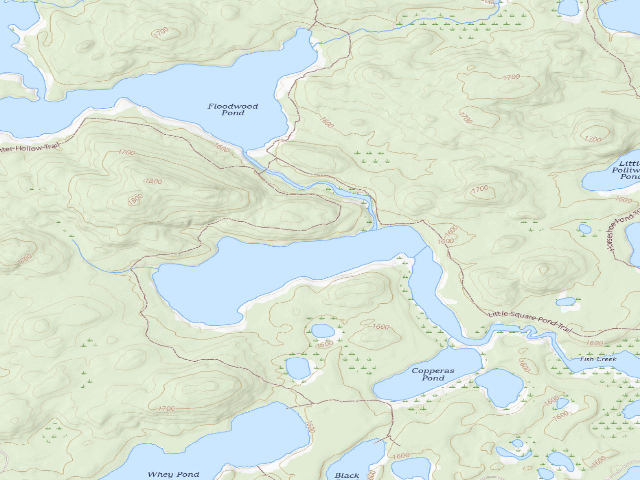 USGS topographic map of Little Square Pond Site 4 (Saranac Lakes Wild Forest)