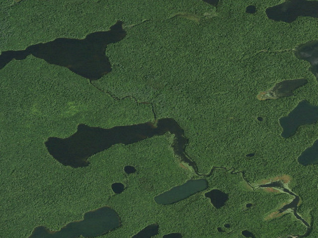 Aerial image of Little Square Pond Site 5 (Saranac Lakes Wild Forest)
