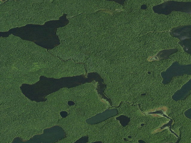 Aerial image of Little Square Pond Site 6 (Saranac Lakes Wild Forest)