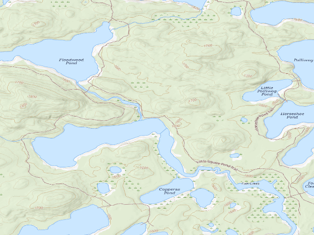 USGS topographic map of Little Square Pond Site 6 (Saranac Lakes Wild Forest)