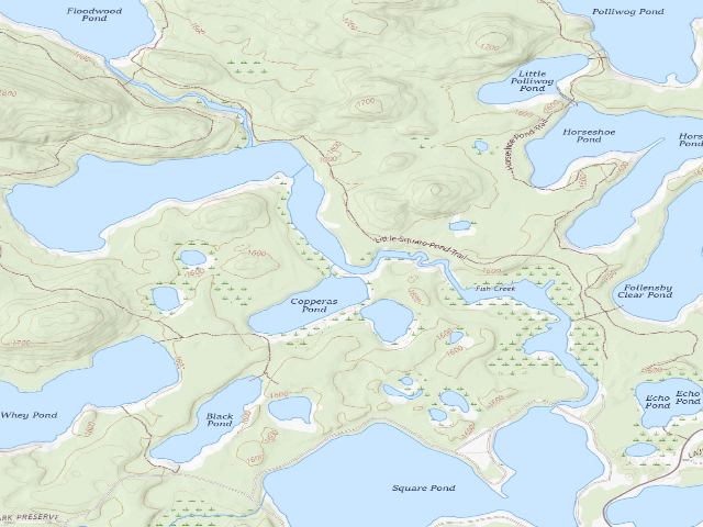 USGS topographic map of Little Square Pond Site 7 (Saranac Lakes Wild Forest)