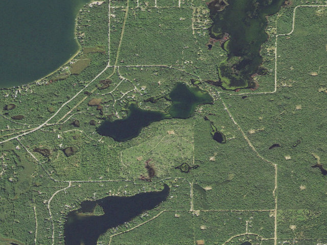Aerial image of Little Wolf Lake State Forest Campground
