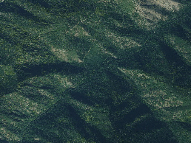 Aerial image of Littlejoe-003