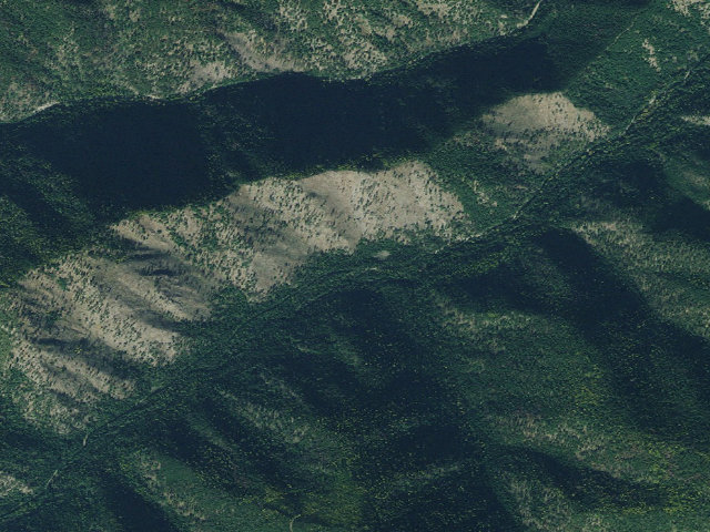 Aerial image of Littlejoe-004