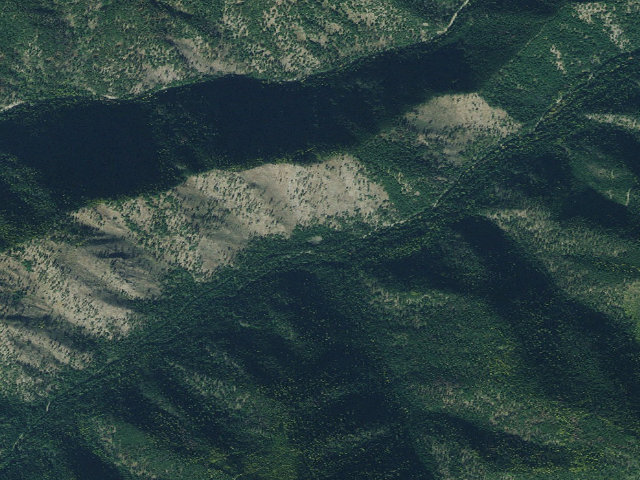 Aerial image of Littlejoe-005