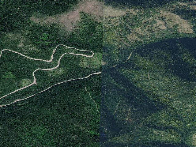 Aerial image of Littlejoe-008