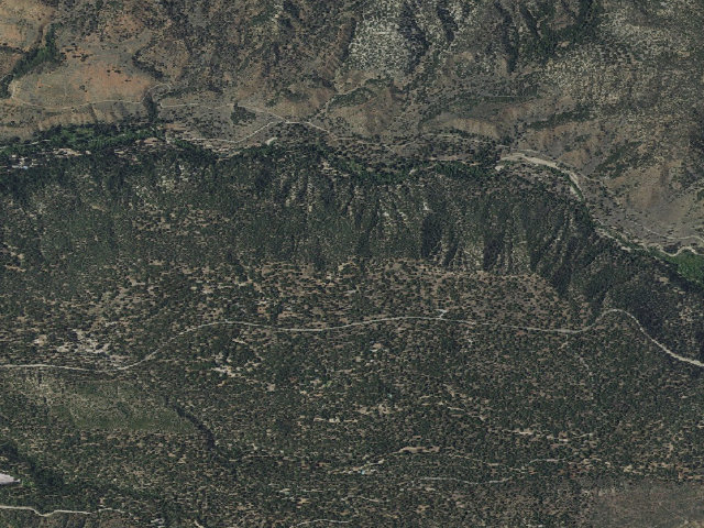 Aerial image of Lobo Group Campground