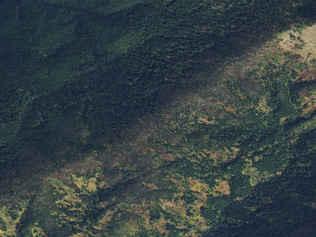 Aerial image of Loc500Rd-021