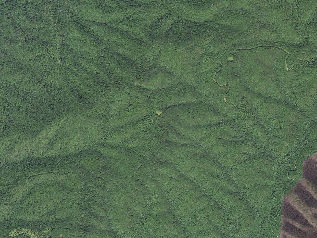 Aerial image of Lockridge Shelter