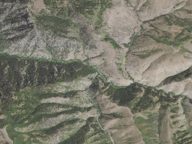 Aerial image of Lodge Campground