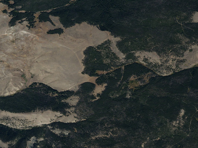 Aerial image of Log Pile