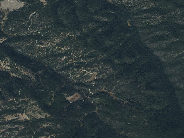 Aerial image of Log Road Standing Dead