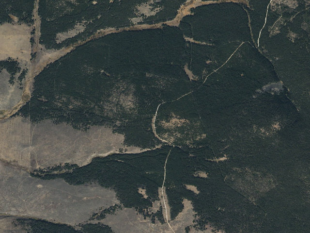 Aerial image of Logged Area