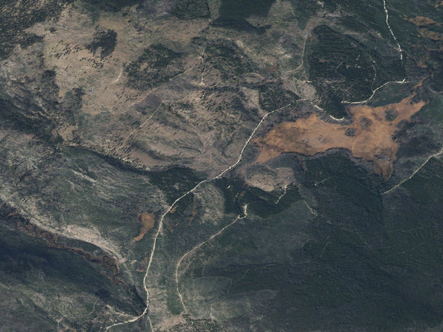 Aerial image of Logged Area