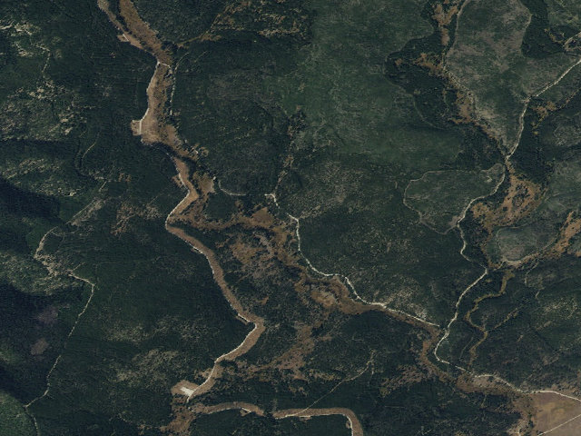 Aerial image of Logged Area