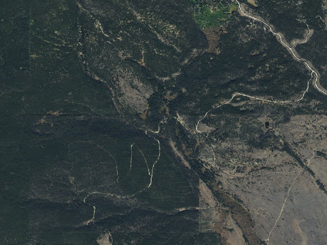 Aerial image of Logged Area