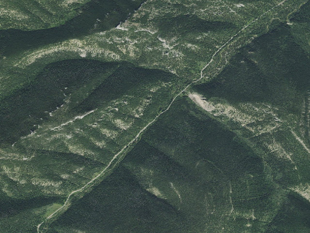 Aerial image of Logging Cr. Rd. 839-006
