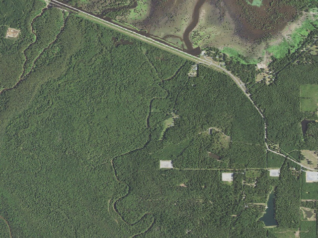 Aerial image of Loggy Bayou WMA primitive camping area 1