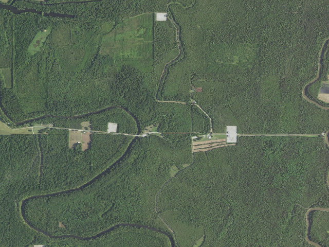 Aerial image of Loggy Bayou WMA primitive camping area 2