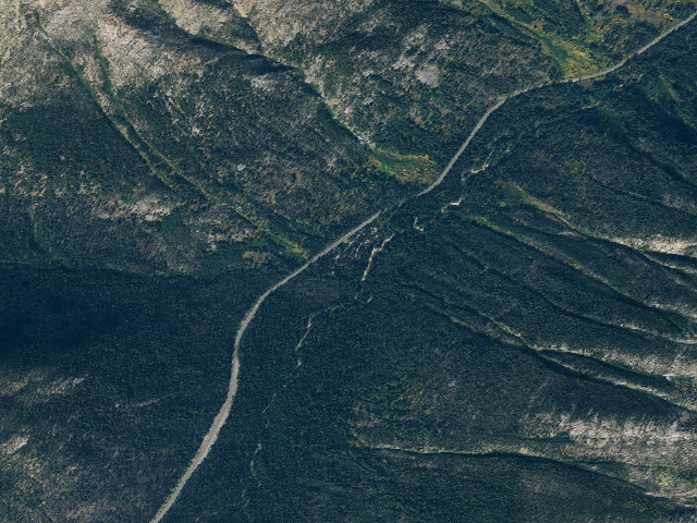 Aerial image of Lone Fir