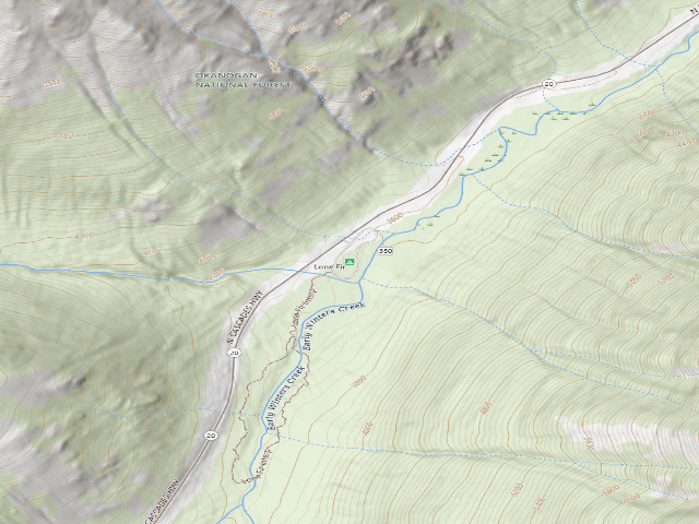 USGS topographic map of Lone Fir