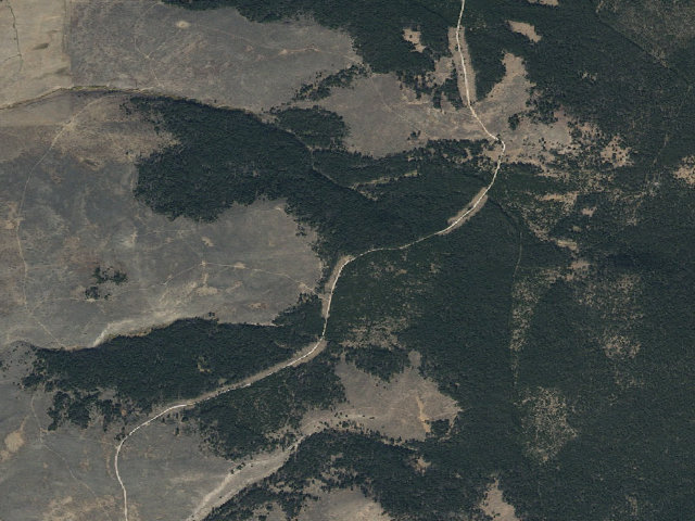 Aerial image of Lone Log