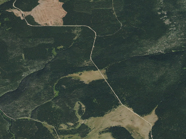 Aerial image of Lone Tree Park-001