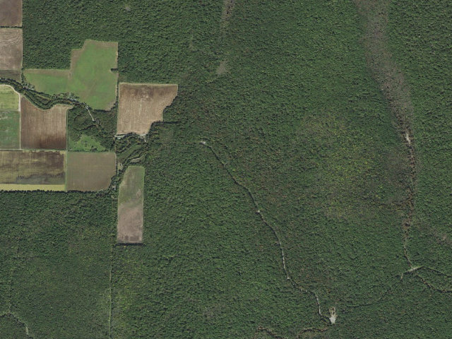 Aerial image of Long Bell Access Camping Area #1