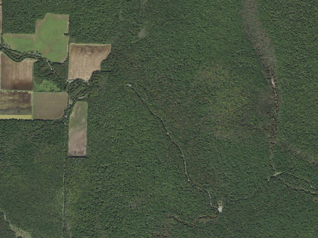 Aerial image of Long Bell Access Camping Area #10