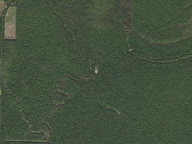 Aerial image of Long Bell Access Camping Area #2