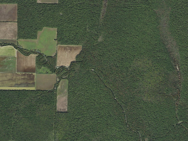 Aerial image of Long Bell Access Camping Area #3