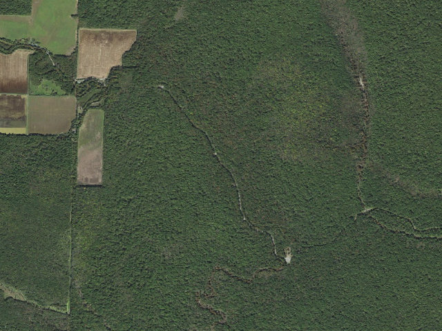 Aerial image of Long Bell Access Camping Area #4