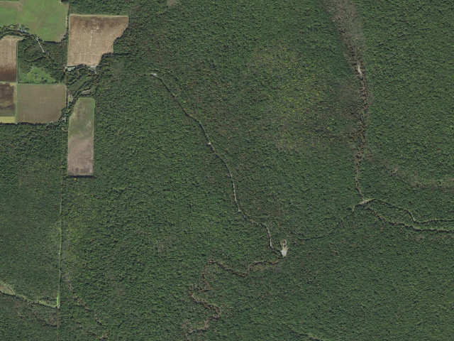 Aerial image of Long Bell Access Camping Area #5