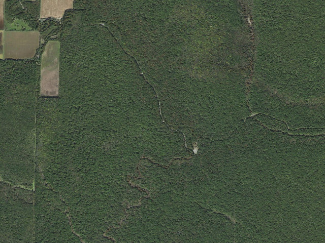 Aerial image of Long Bell Access Camping Area #6