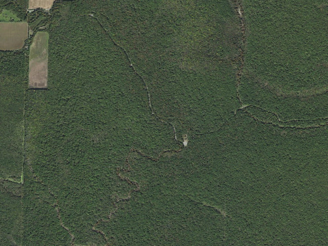 Aerial image of Long Bell Access Camping Area #9