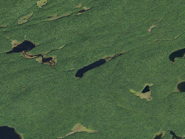 Aerial image of Long Lake #1 (Ferris Lake Wild Forest)