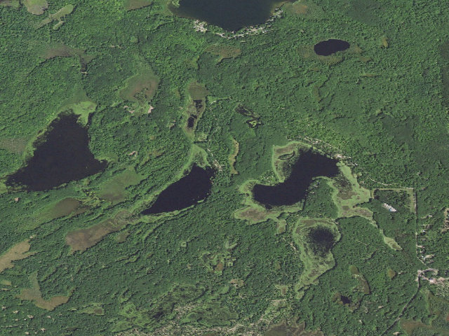 Aerial image of Long Lake (Missaukee) State Forest Campground