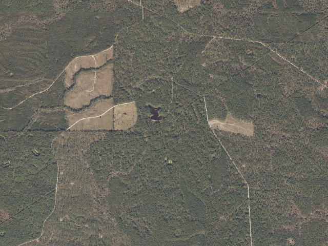 Aerial image of Long Leaf Horse Camp