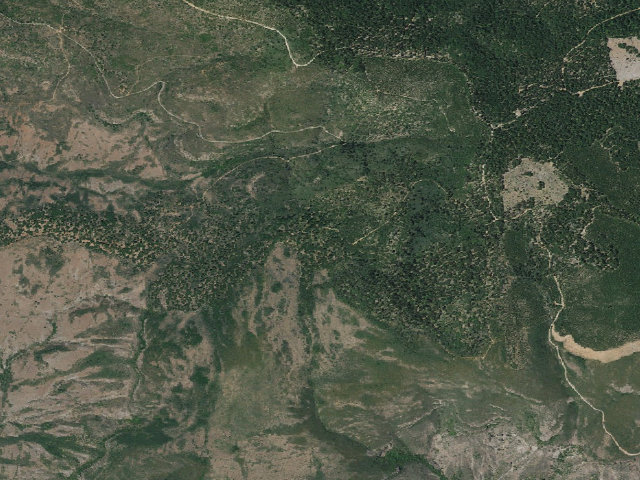 Aerial image of Long Point