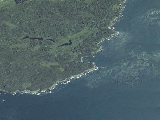 Aerial image of Long Point (Cutler Coast Public Land)
