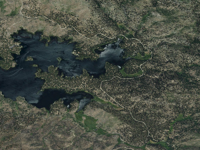 Aerial image of Long Point (Group Cg)