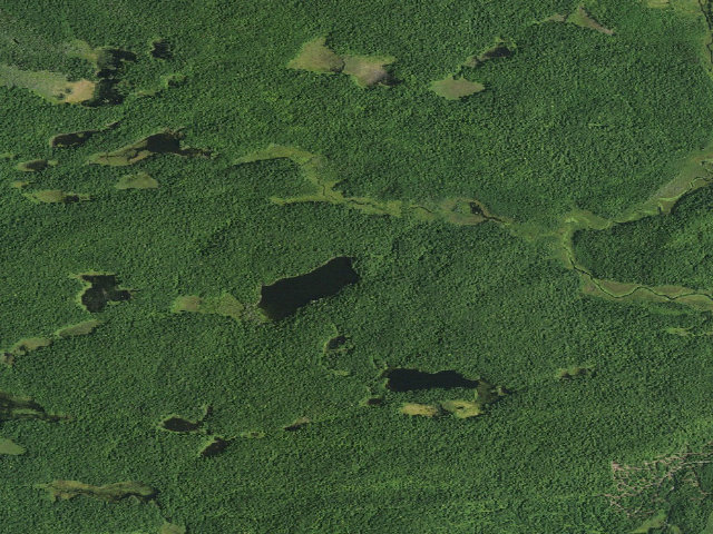 Aerial image of Long Pond Campsite [DEC #2504] (White Hill Wild Forest)